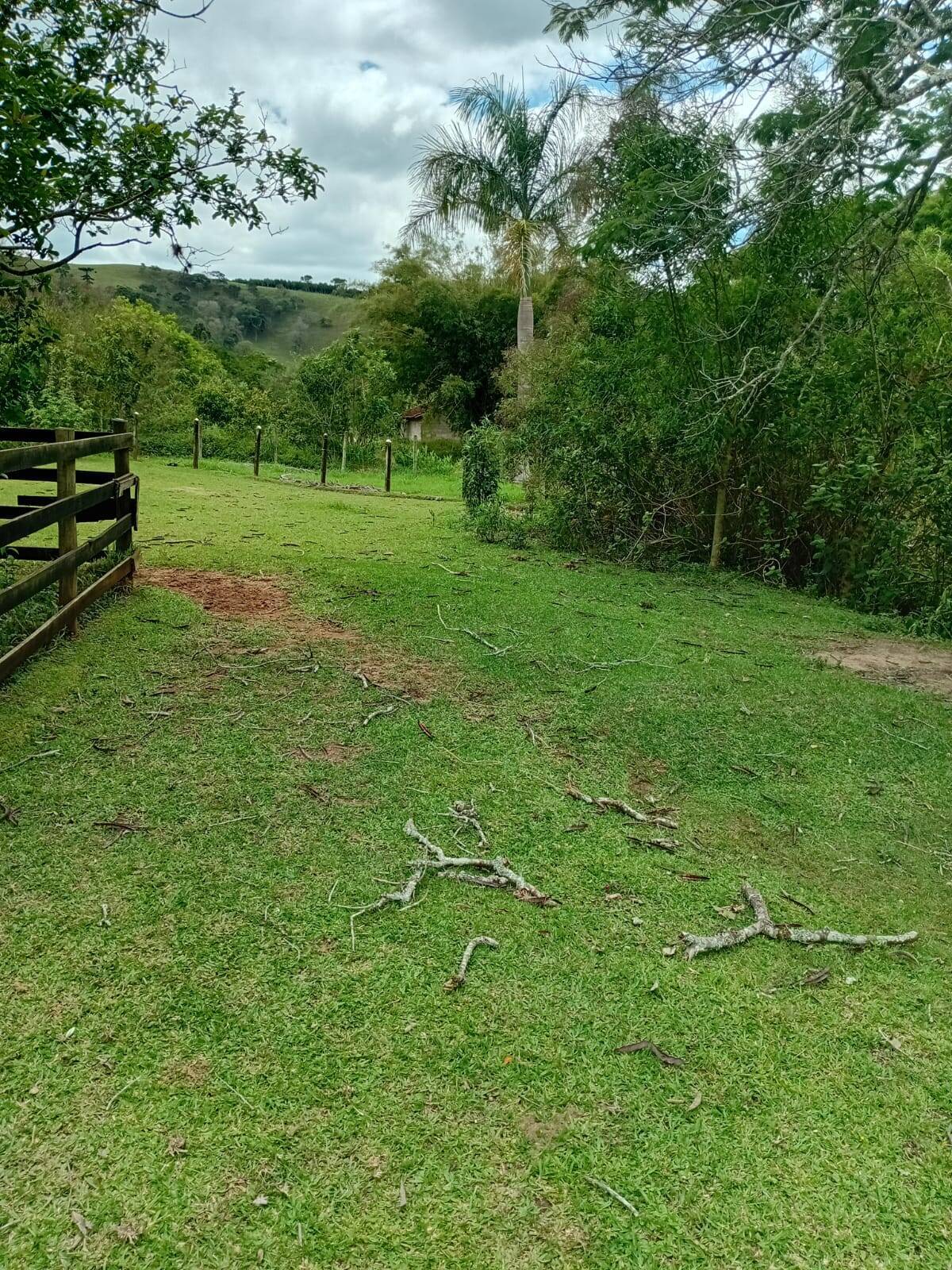 Sítio, 4 quartos, 2 hectares - Foto 9
