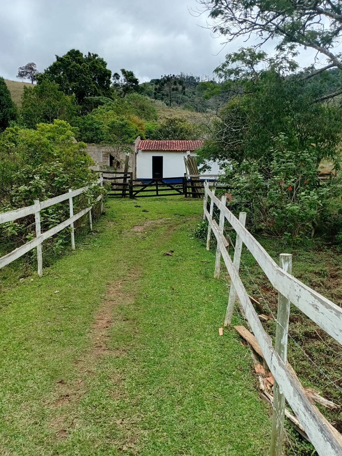 Sítio, 4 quartos, 2 hectares - Foto 10