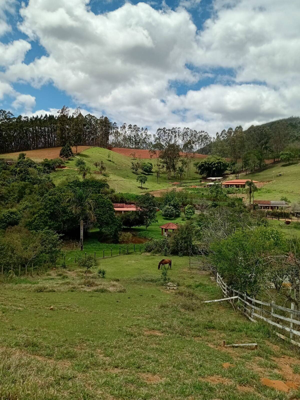 Sítio, 4 quartos, 2 hectares - Foto 14