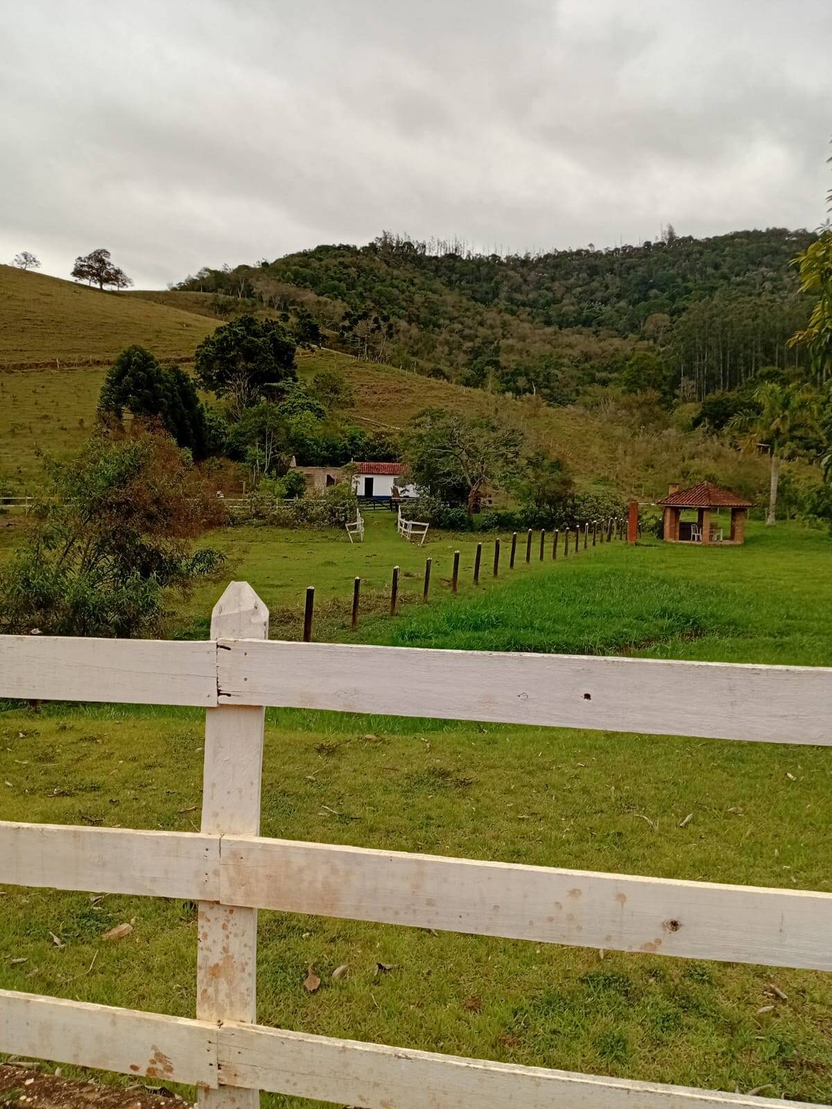 Sítio, 4 quartos, 2 hectares - Foto 1