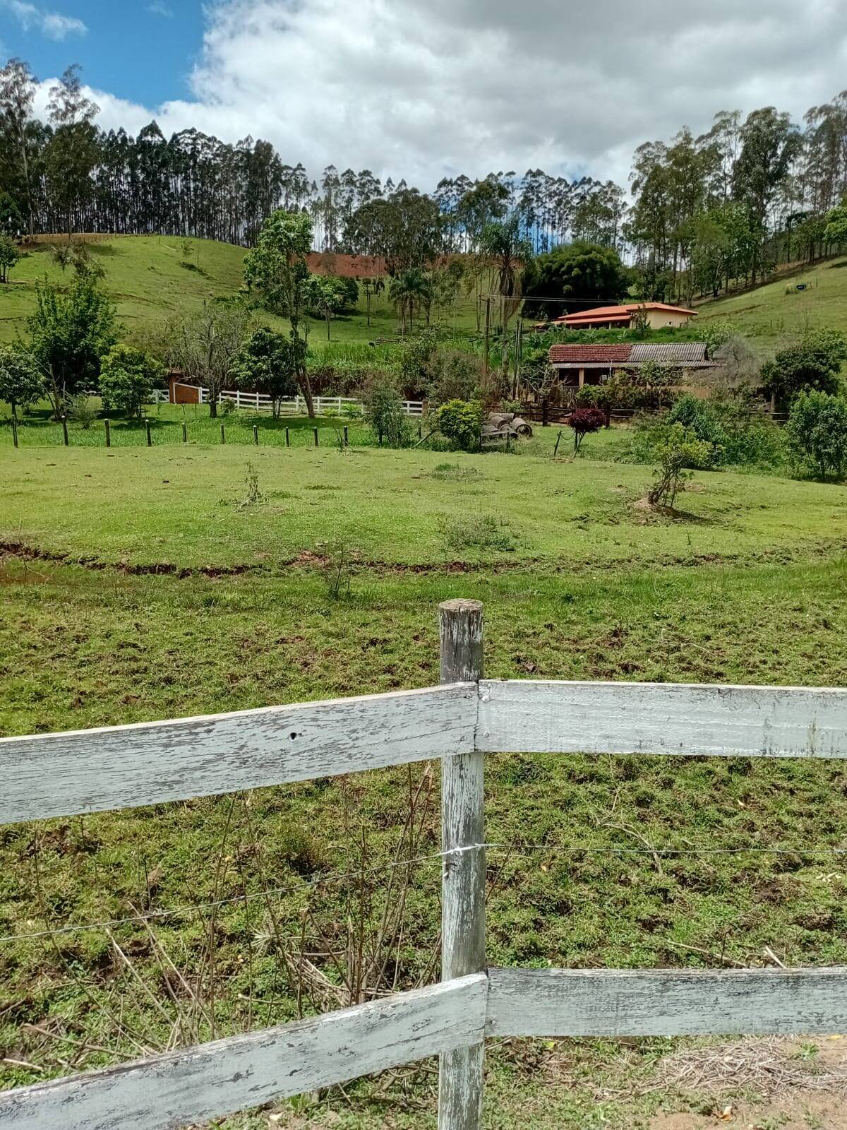 Sítio, 4 quartos, 2 hectares - Foto 18