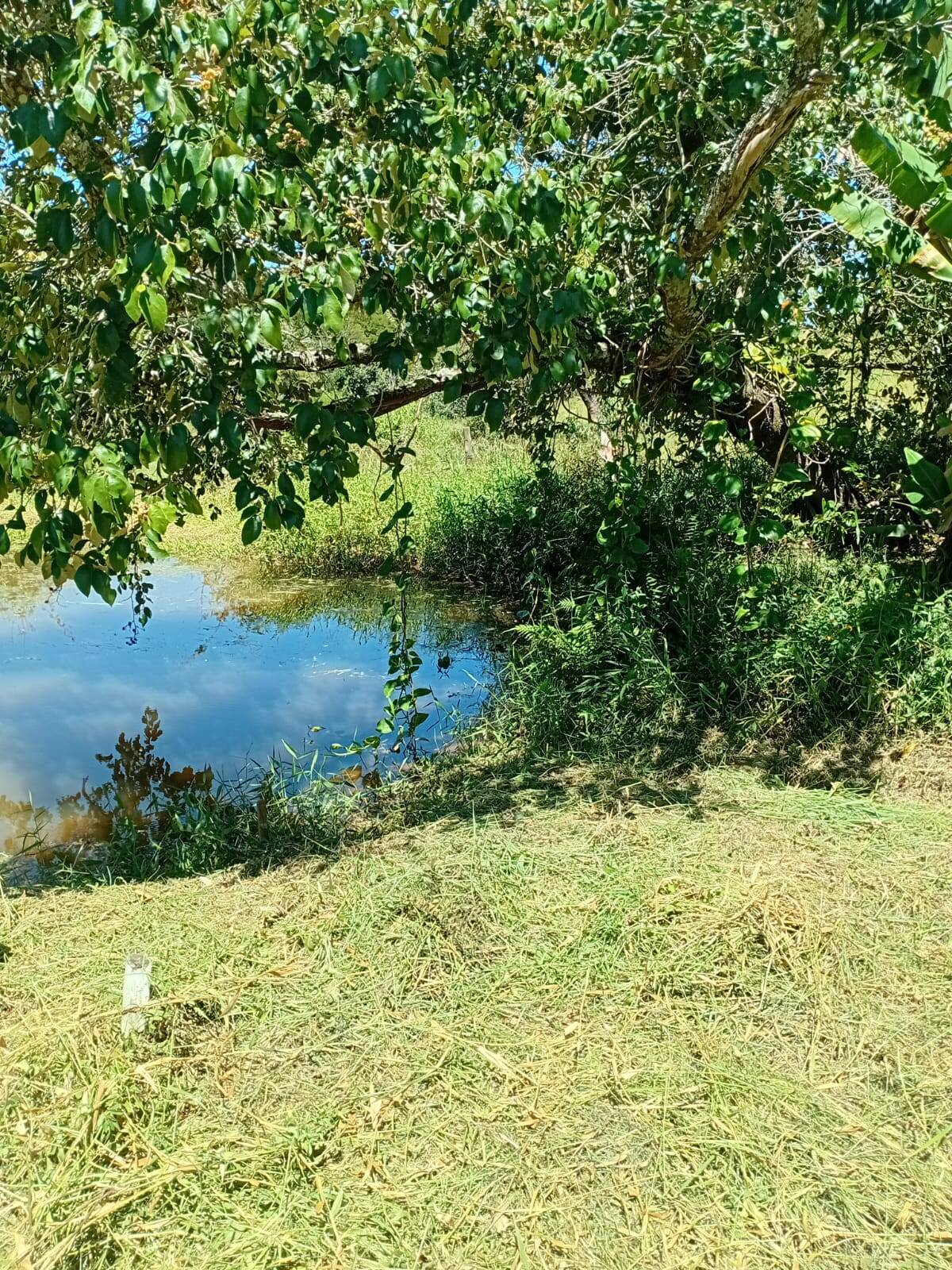 Sítio, 4 quartos, 2 hectares - Foto 23