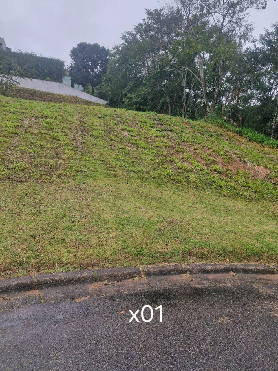 Terreno, 1000 m² - Foto 1