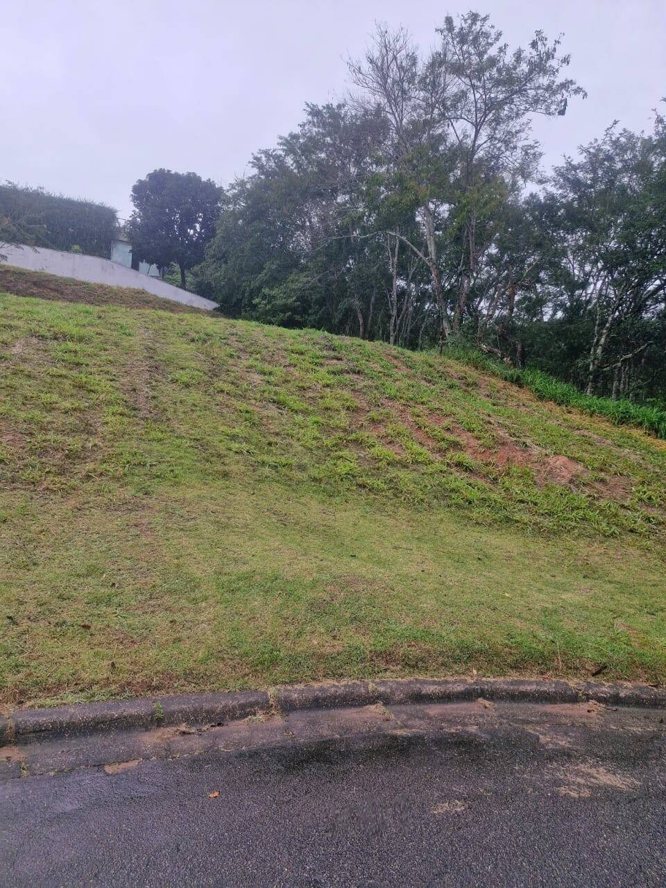 Terreno, 1000 m² - Foto 6
