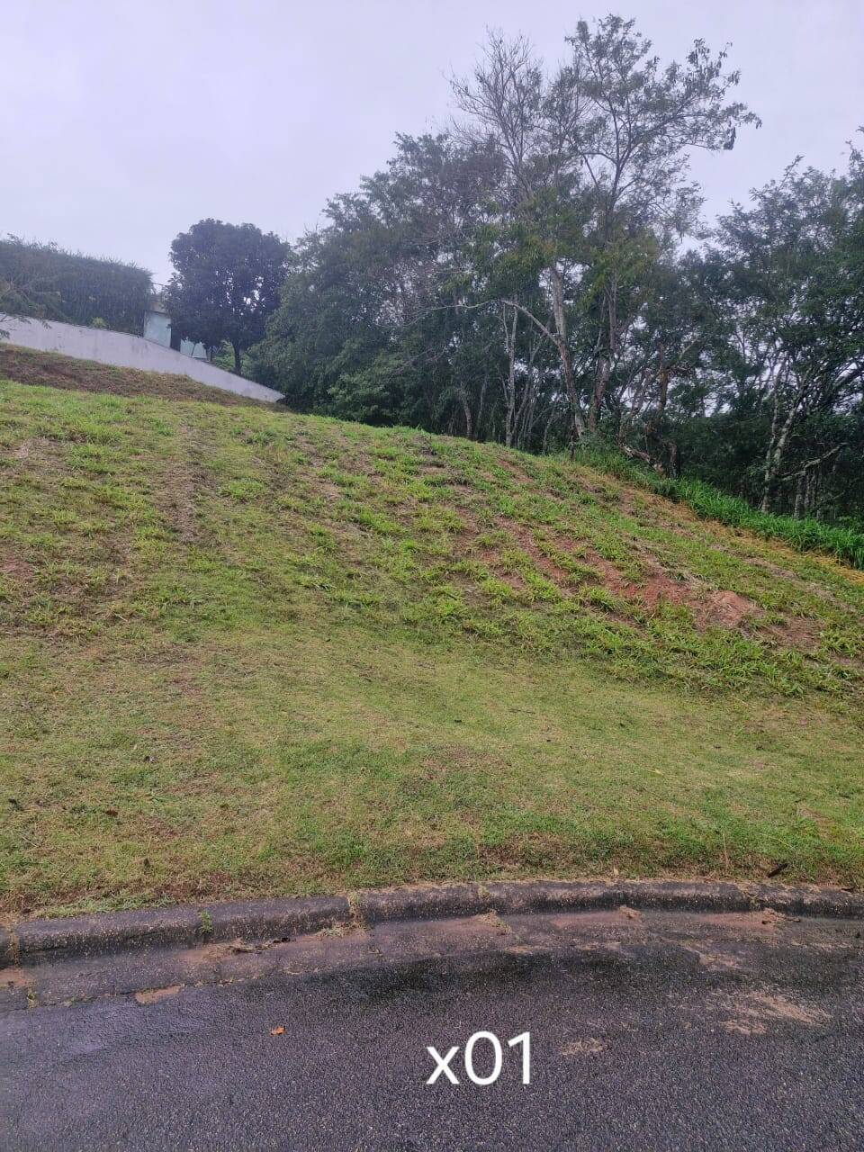 Terreno, 1000 m² - Foto 5