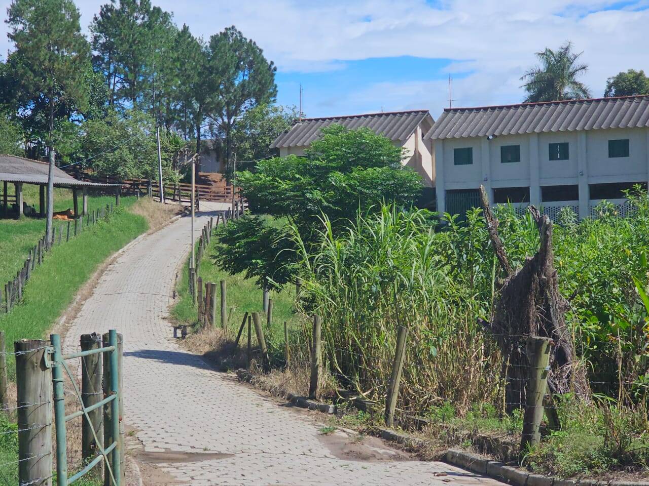 #FA-26341 - Fazenda para Venda em Lorena - SP