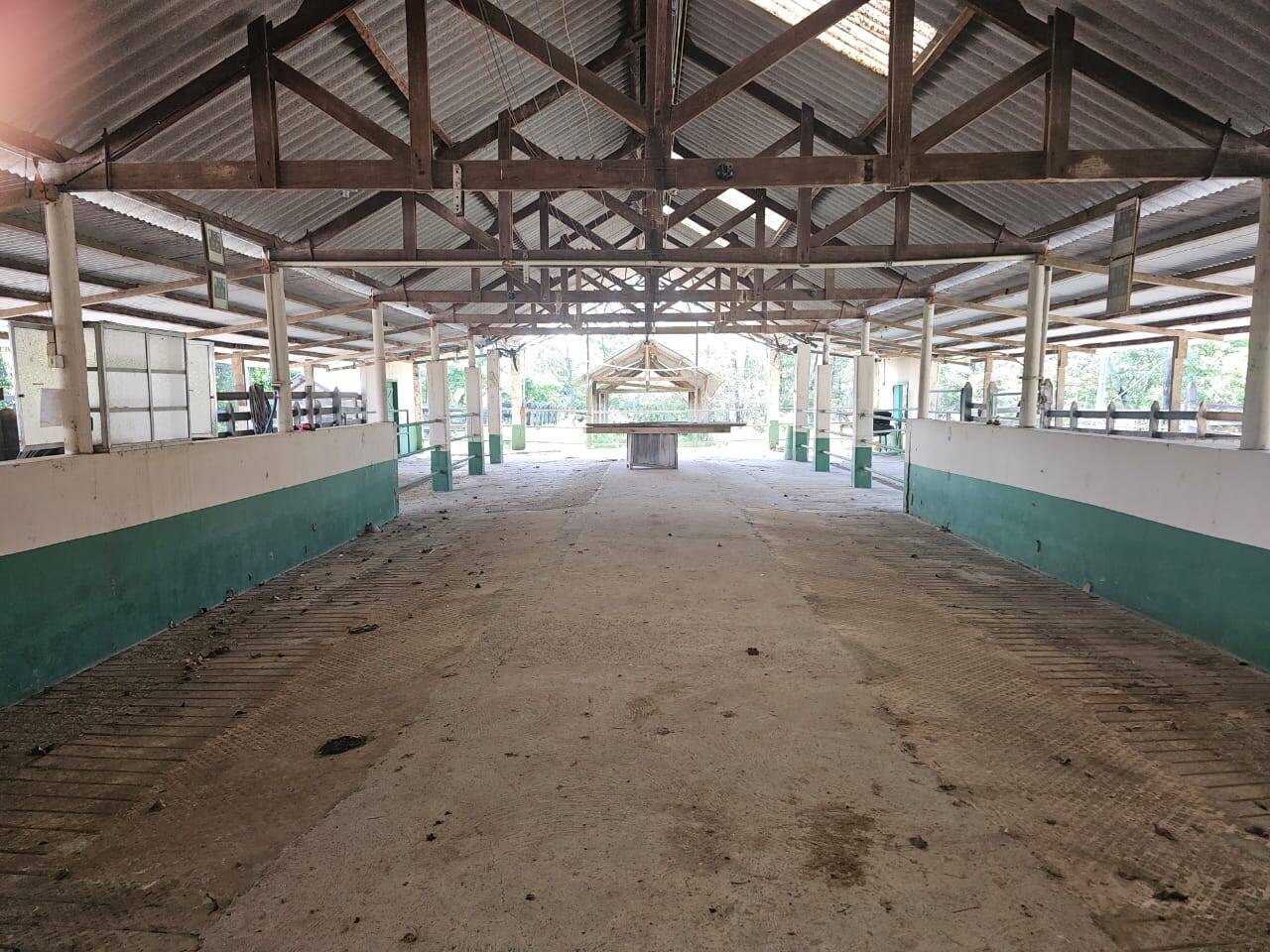 Sítio, 2 quartos, 89 m² - Foto 7