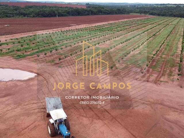 #FA-2470 - Fazenda para Venda em Campina Verde - MG