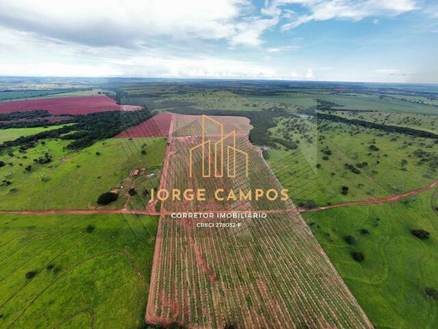 Fazenda para Venda em Campina Verde - 4