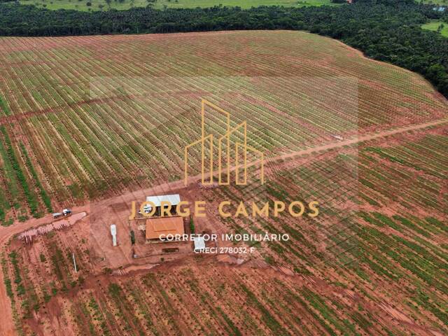 Fazenda para Venda em Campina Verde - 5