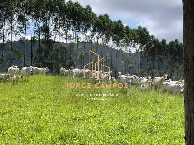 Fazenda para Venda em Guaratinguetá - 4