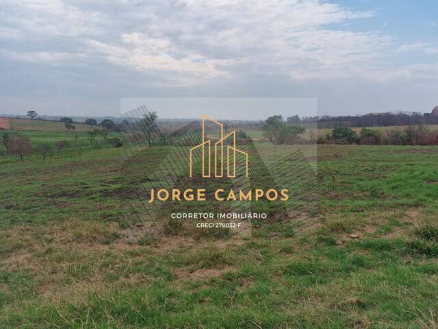 Fazenda para Venda em Turiúba - 5