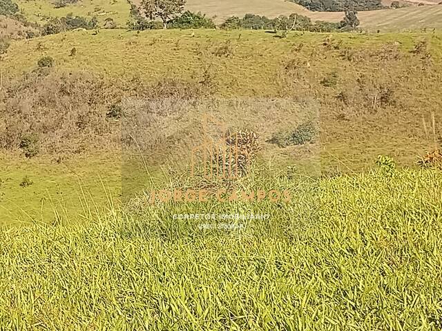 Fazenda para Venda em Minduri - 5