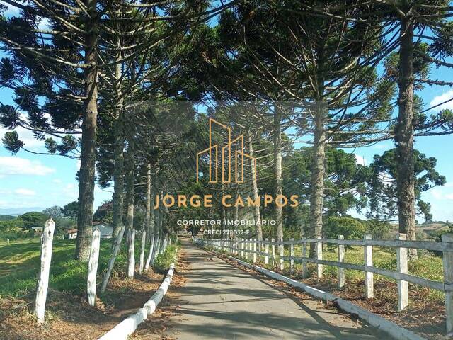 #FA-24163 - Fazenda para Venda em Minduri - MG