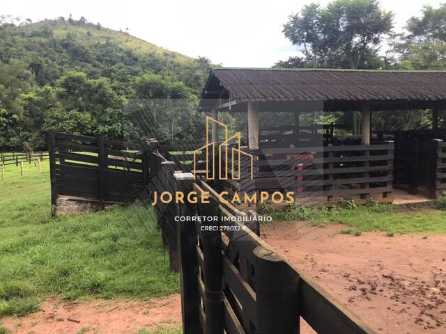 #FA-25190 - Fazenda para Venda em Cachoeira Paulista - SP