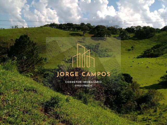 Sítio para Venda em Igaratá - 4