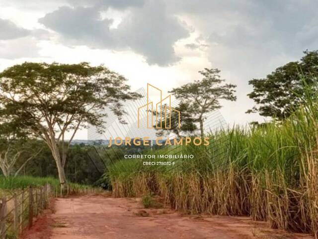 Fazenda para Venda em Palestina - 4