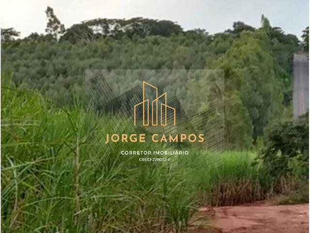 Fazenda para Venda em Palestina - 5