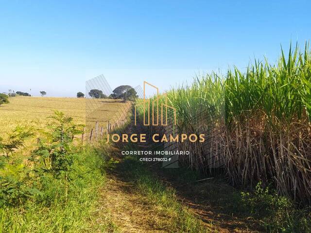 #FA-25233 - Fazenda para Venda em Magda - SP