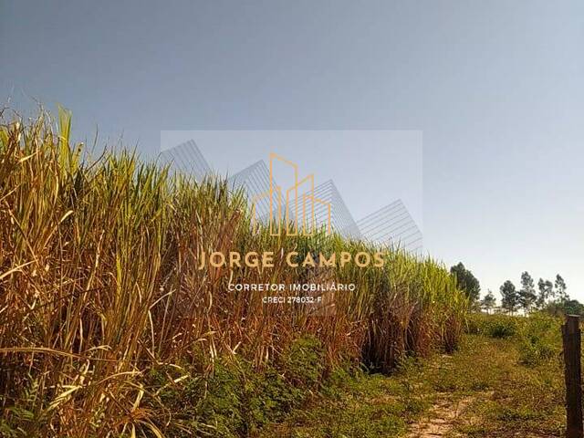 #FA-25233 - Fazenda para Venda em Magda - SP