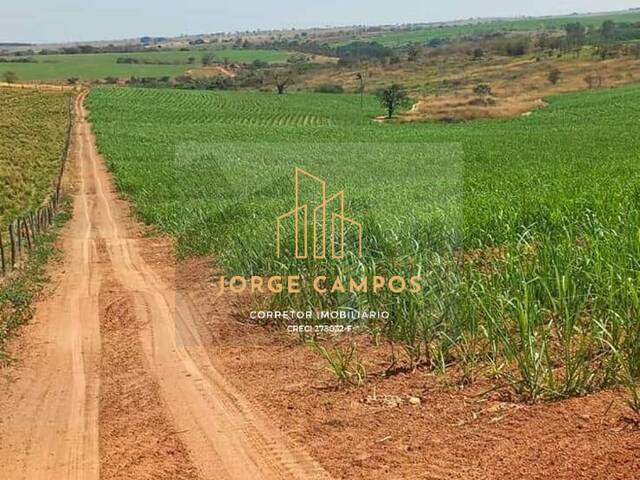 Fazenda para Venda em Magda - 4