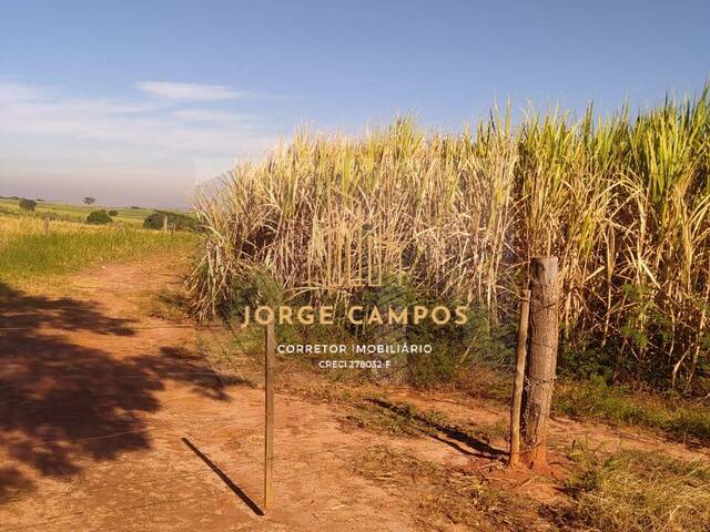 #FA-25233 - Fazenda para Venda em Magda - SP