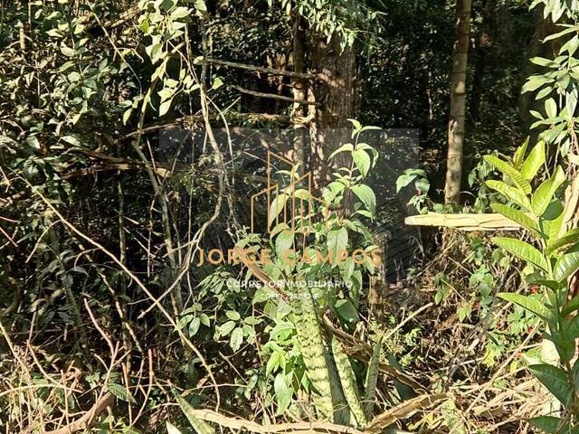 Venda em Canaã I - Jambeiro