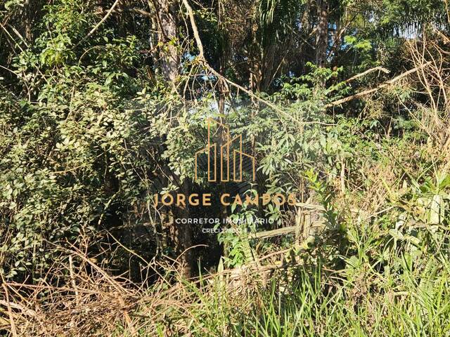 #TE-25241 - Terreno para Venda em Jambeiro - SP