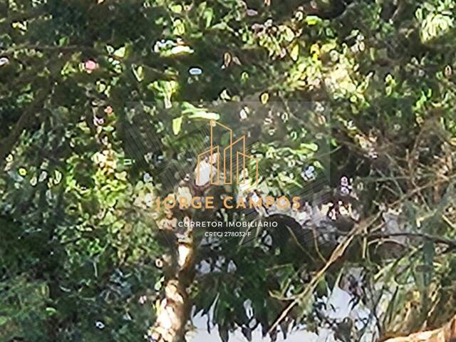 #TE-25241 - Terreno para Venda em Jambeiro - SP