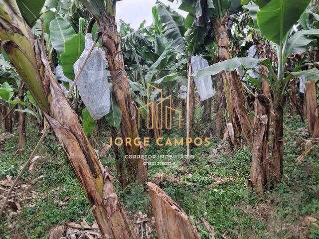 #SI-25254 - Sítio para Venda em Sete Barras - SP