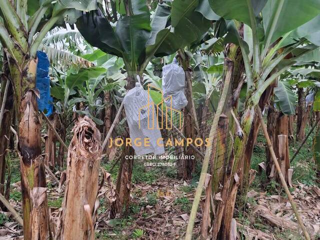 #SI-25254 - Sítio para Venda em Sete Barras - SP