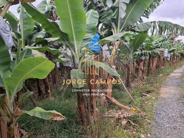 Sítio para Venda em Sete Barras - 4