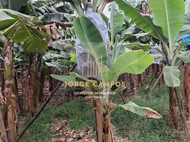 Sítio para Venda em Sete Barras - 5