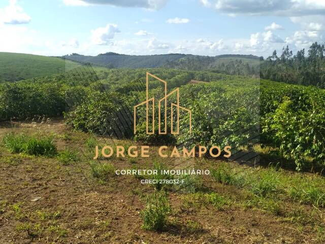 #FA-25259 - Fazenda para Venda em Lambari - MG