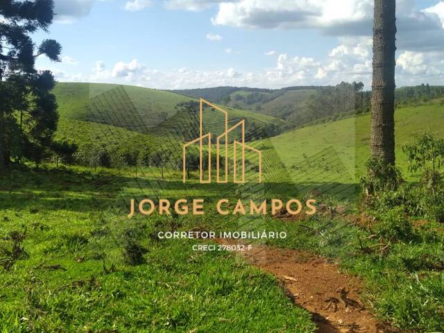 #FA-25259 - Fazenda para Venda em Lambari - MG