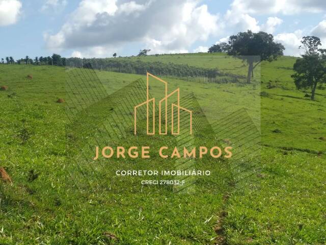 Fazenda para Venda em Lambari - 4