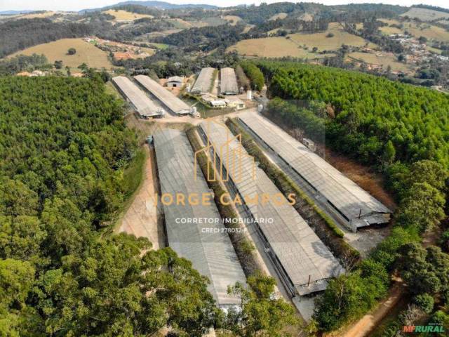 Sítio para Venda em Bragança Paulista - 4