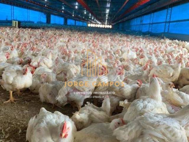 #GA-26288 - Sítio para Venda em Bragança Paulista - SP