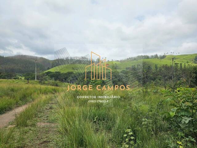 Fazenda para Venda em Lavrinhas - 4