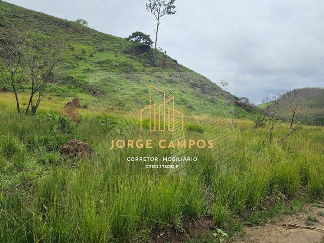 #PE-25211 - Fazenda para Venda em Lavrinhas - SP