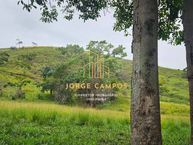 Fazenda para Venda em Lavrinhas - 5