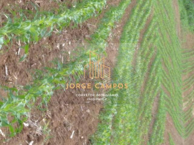 Fazenda para Venda em São José do Barreiro - 4