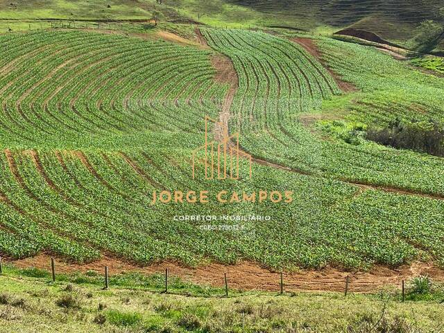 Fazenda para Venda em São José do Barreiro - 5