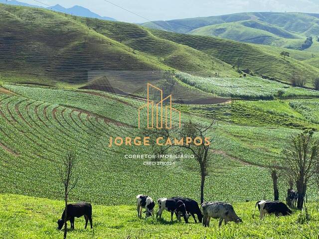 #FA-26297 - Fazenda para Venda em São José do Barreiro - SP