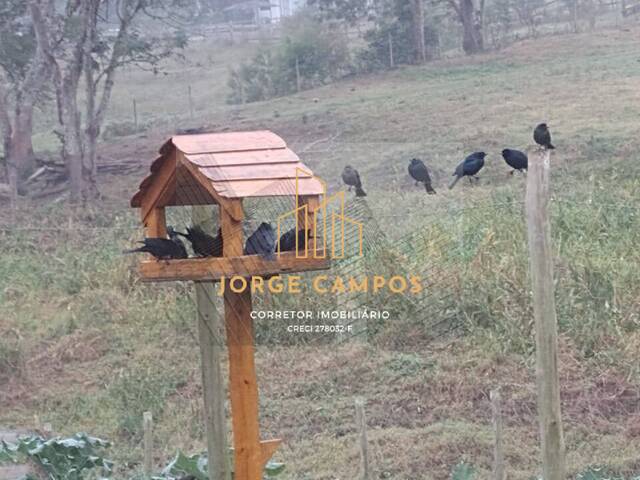 #CH-26308 - Chácara para Venda em Paraibuna - SP