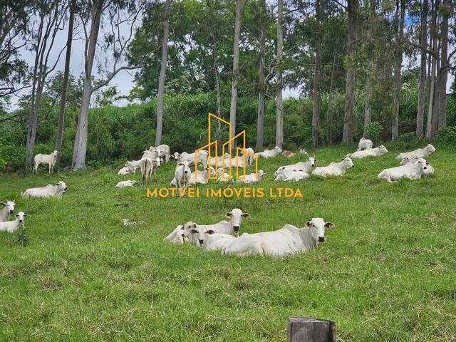 Fazenda para Venda em Lorena - 4