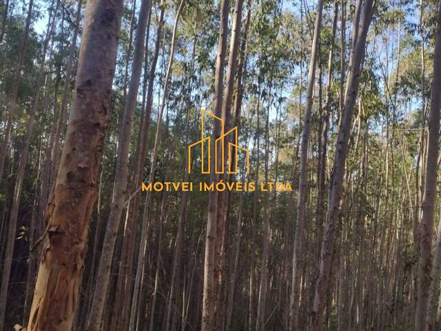 Fazenda para Venda em Ribeirão Branco - 5