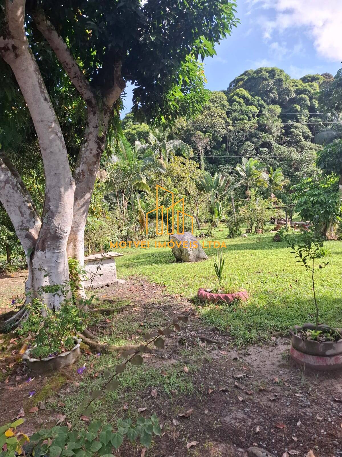 Fazenda, 250 m² - Foto 5
