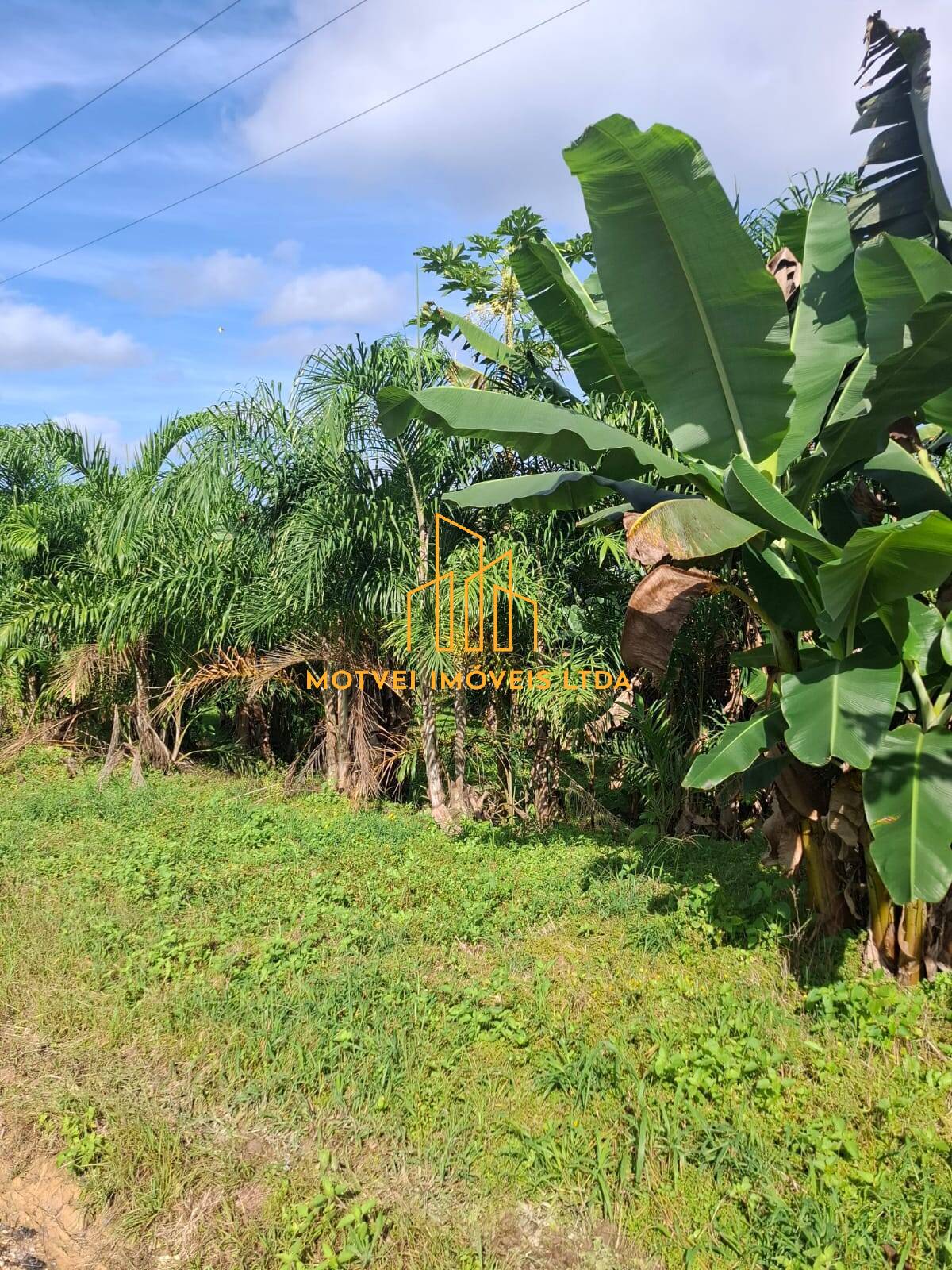 Fazenda, 250 m² - Foto 11