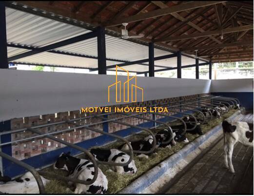 Fazenda, 78 m² - Foto 13